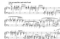 Geh aus mein Herz und suche Freud