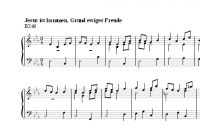 Jesus ist kommen, Grund ewiger Freude